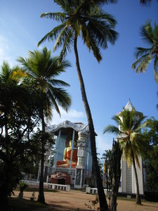 Coconut trees and Buddha statue in Negombo