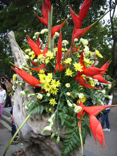 Flower Festival 2009 in Hanoi 