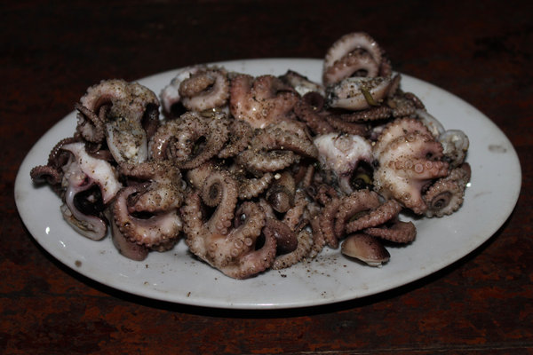Ruốc (little octopus) 