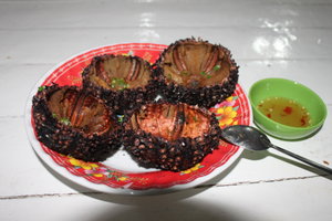Cầu gai đen, Nhum đen (Black sea-urchin)
