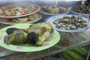 Ốc giác & ốc mỡ (two types of sea snails)
