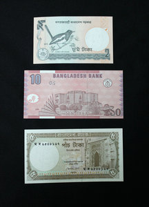 Some Bangladeshi notes