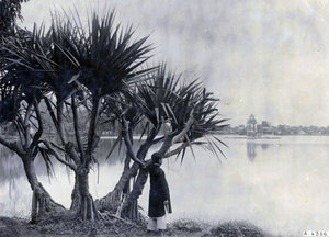 Hoàn Kiếm lake with palm trees