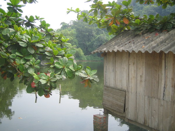 Lake in Chuà Thầy pagoda area