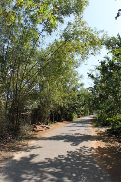 Village road in Núi Thành district