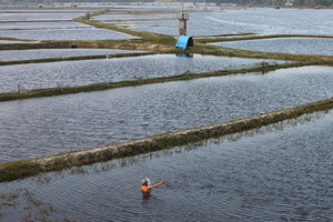 A farmer is placing net in his lake