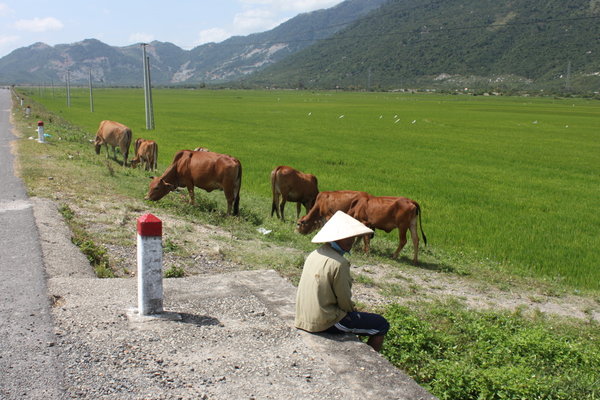 Countryside landscape along Highway No. 1