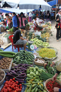 Selling vegetables at Quản Bạ market