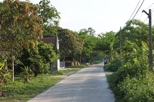 Road toward the south of the island