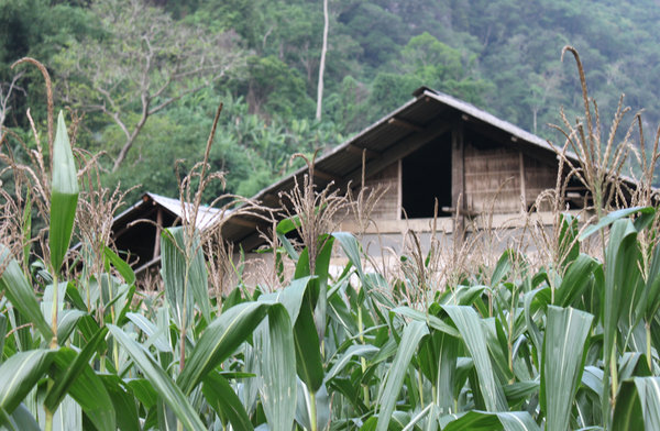 A village of the Tày ethnic minority people