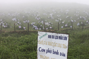 So misty on the top of Mẫu Sơn mountain