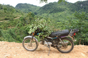 Motorbike of a local family in Giàng B village 