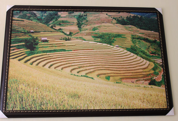 Painting of terraced rice fields