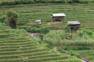 Terraced rice fields - View from Highway No. 32