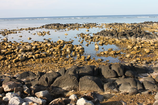 Rocks at Mù Cu port - Lý Sơn island