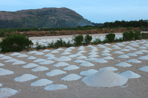 White sand is used for cooling hot soil