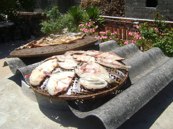 Drying fishes in the sun at a local house
