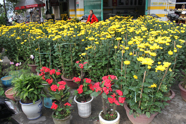 Flowers sold on a street in the city