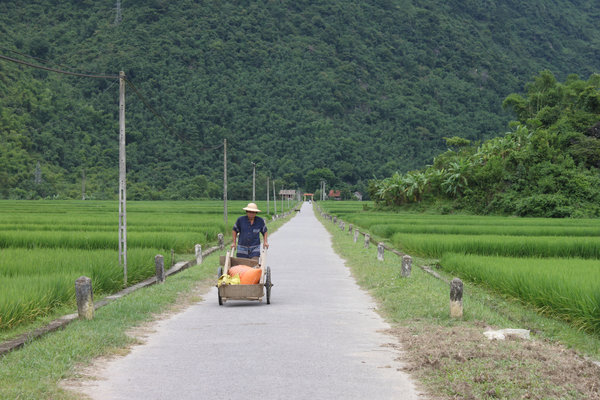 Walking to Bản Văn village, Mai Châu