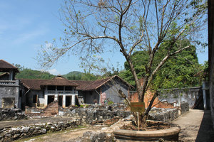 Tô Hiệu peach tree at Sơn La prison