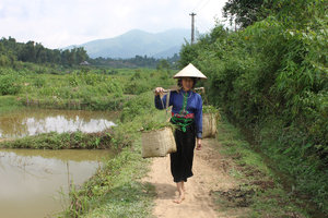 Co Mận village of the Thai ethnic people