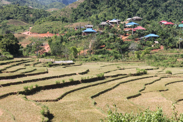 A village of the Lừ people in Pa Há