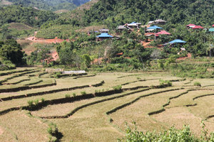 A village of the Lừ people in Pa Há