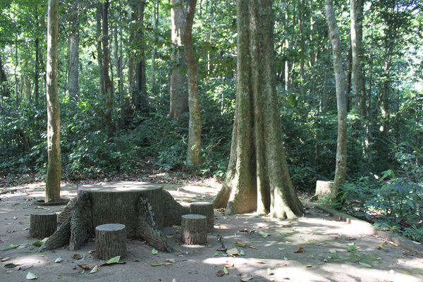 Cúc Phương national park