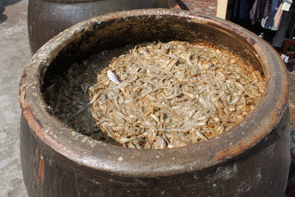 Close up of a fish sauce jar - Cát Bà island