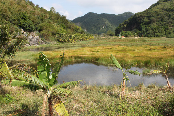 Landscape on Cát Bà island