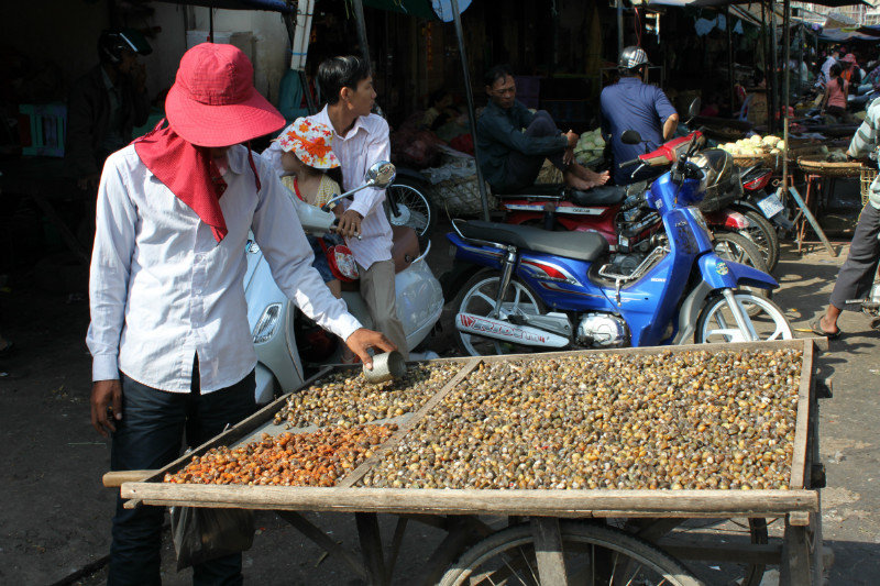 Selling tiny oysters at a market