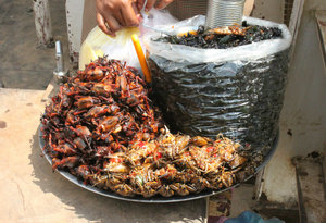 Insect food sold on ferry across the Mekong river