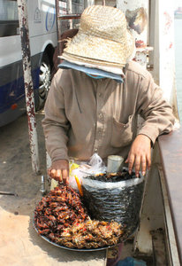 Selling insect food on ferry across the Mekong river