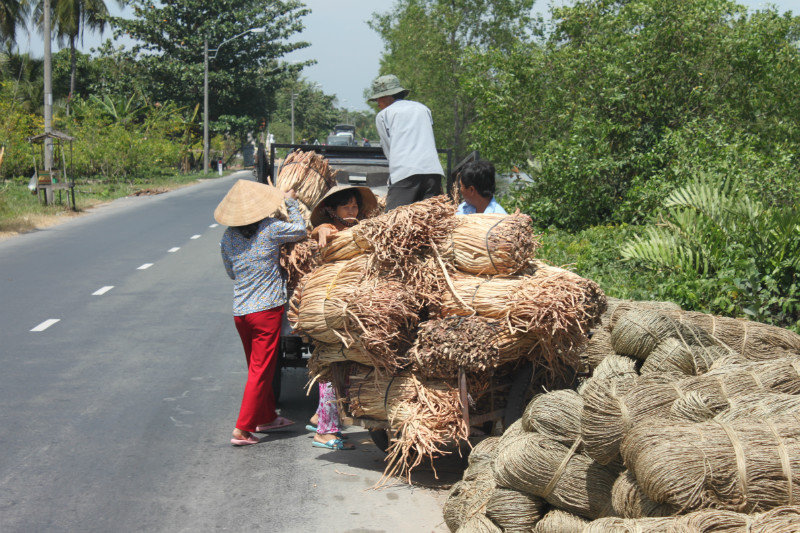 People working on the road 