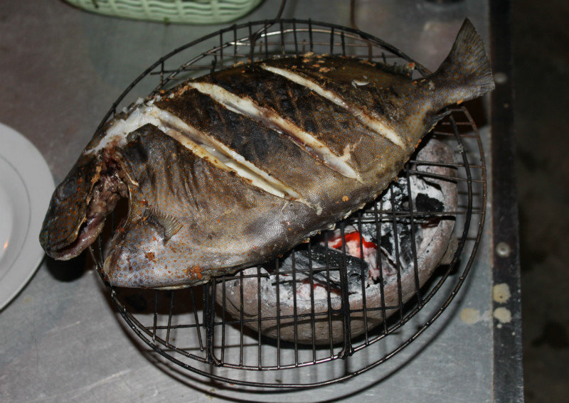 Grilled "Cá bò" fish 