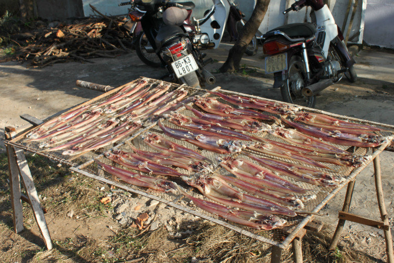 Drying fish outside a local house