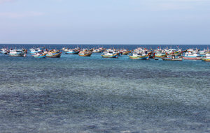 View of the fishing boats