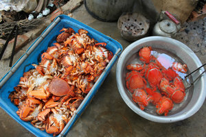 Huỳnh Đế crabs before & after being boiled