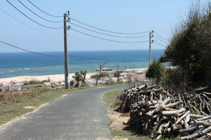 A road on the island