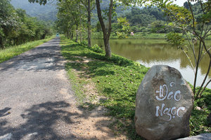 Road at Yang Bay park