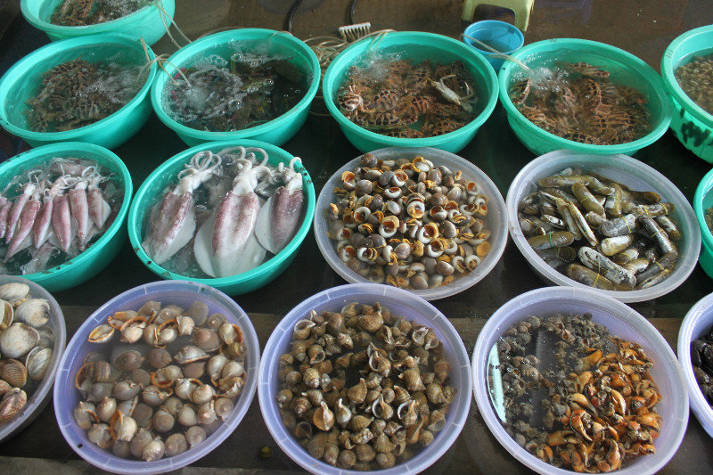 Fish market in Hàng Dương beach town