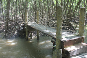 A bridge in Rừng Sác guerilla base