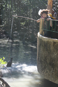 Crocodile fishing at Hoa Cà reserve center