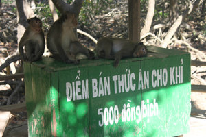 Selling food for monkeys at Lâm Viên park