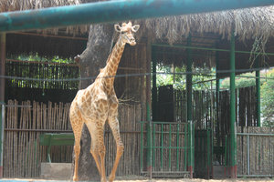 Thảo Cầm Viên zoo park