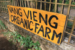 Organic farm in Vang Vieng