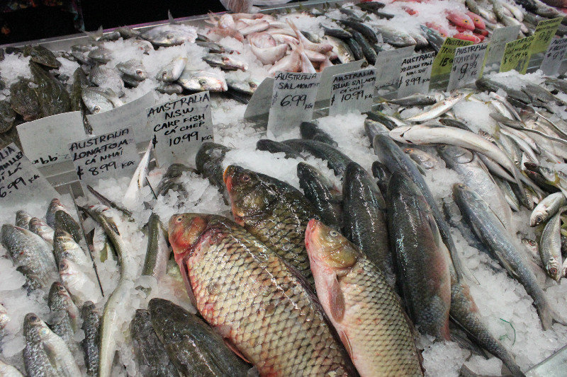 At the fish market in Inala