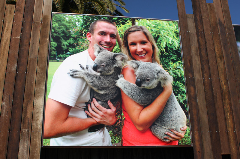 A poster outside Australia zoo