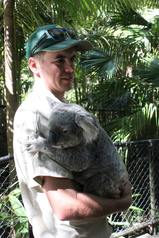 A koala & staff of Australia zoo 
