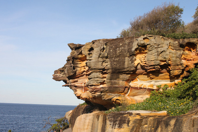 A rock on the way to Coogee beach